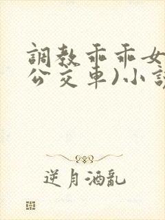 调教乖乖女h(公交车)小说