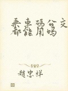 乘车码公交地铁都能用吗