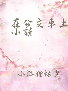 在公交车上做的小说