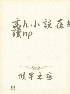 高h小说在线阅读np