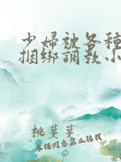 少妇被各种姿势捆绑调教小说