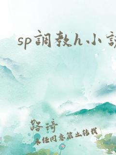 sp调教h小说
