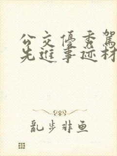 公交优秀驾驶员先进事迹材料