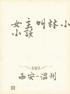 女主叫林小鱼的小说