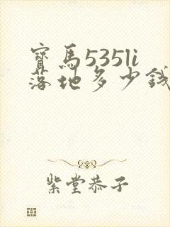 宝马535li落地多少钱