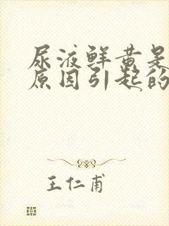 尿液鲜黄是什么原因引起的