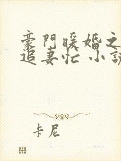 豪门暖婚之四爷追妻忙 小说