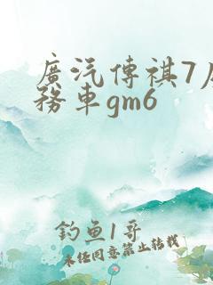 广汽传祺7座商务车gm6 广汽传祺7座商务车gm6