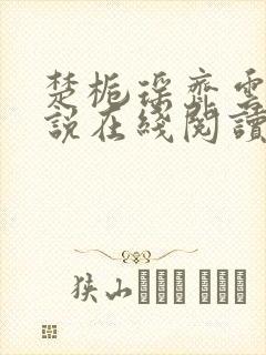 楚栀瑶齐云澈小说在线阅读笔趣阁