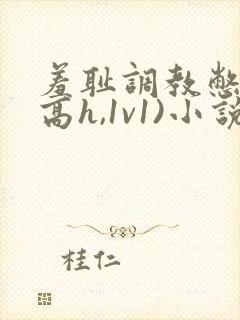 羞耻调教憋尿(高h,1v1)小说