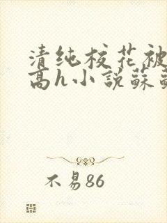 清纯校花被脔哭高h小说苏苏