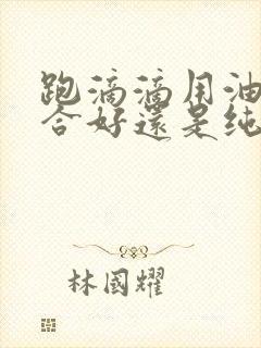 跑滴滴用油电混合好还是纯电动好