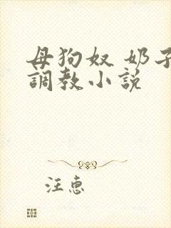 母狗奴 奶子 调教小说