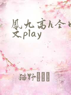 凤九高h全肉污文play