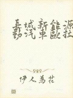 长城新能源纯电动汽车欧拉价格表