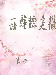 一般抚养权纠纷请律师大概多少钱