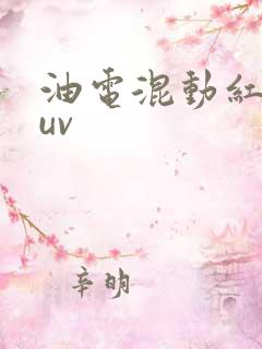 油电混动红旗suv