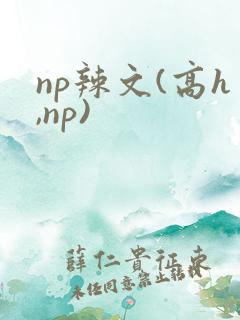 np辣文(高h,np)