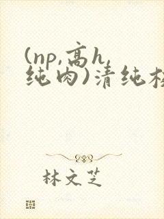 (np,高h,纯肉)清纯校花