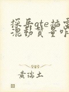 探岳gte插电混动质量咋样