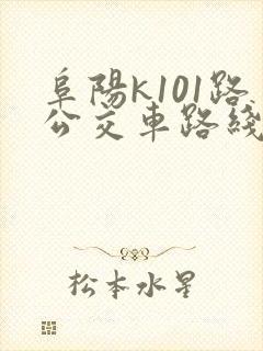 阜阳k101路公交车路线图