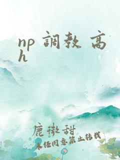 np 调教 高h