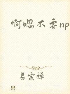 啊嗯不要np