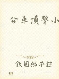 公车顶臀小说