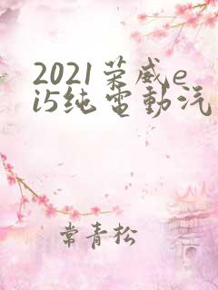 2021荣威ei5纯电动汽车常见故障