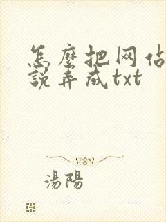 怎么把网站的小说弄成txt