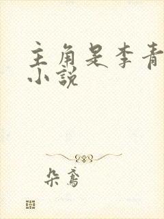 主角是李青山的小说