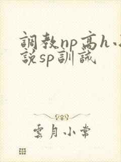 调教np高h小说sp训诫