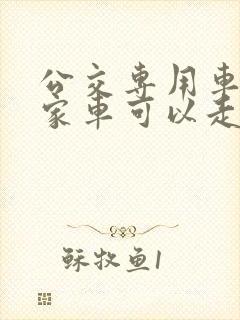 公交专用车道私家车可以走吗