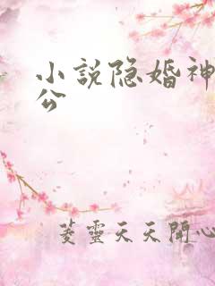 小说隐婚神秘老公 小说隐婚神秘老公