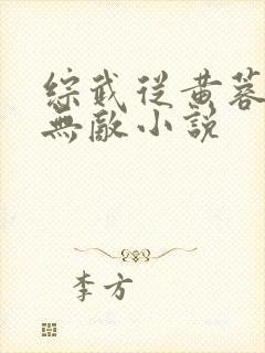 综武从黄蓉开始无敌小说