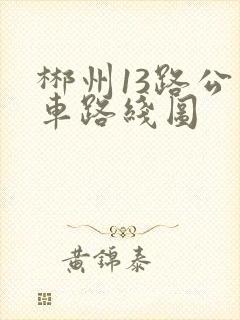 郴州13路公交车路线图
