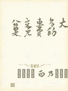 公交车多大孩子是免费的