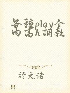 各种play全肉高h调教