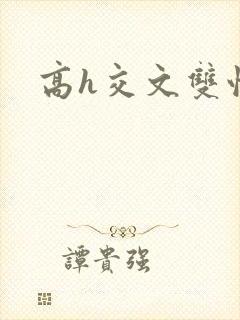 高h交文双性