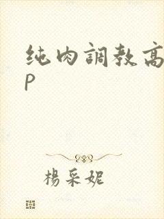纯肉调教高hnp