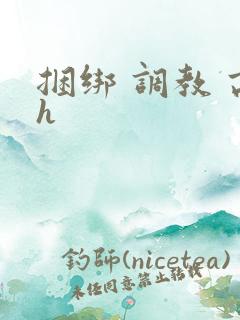 捆绑 调教 高h