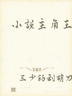 小说主角王大明