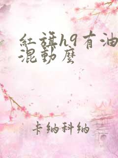 红旗h9有油电混动么
