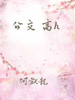 公交 高h