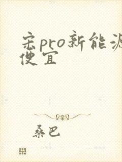宋pro新能源便宜