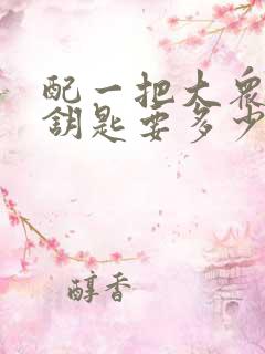 配一把大众的车钥匙要多少钱