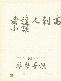 黄让人到高潮的小说