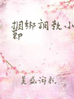 捆绑调教小说章节