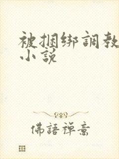 被捆绑调教高潮小说