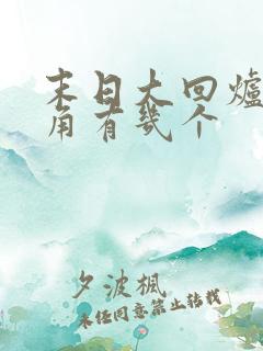 末日大回炉女主角有几个